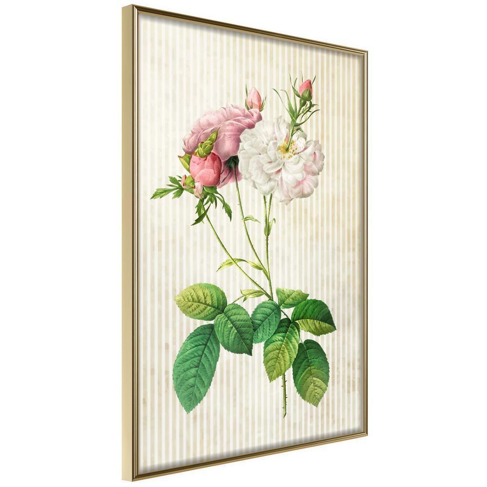 Botanical Wall Art - Romance I-artwork for wall with acrylic glass protection