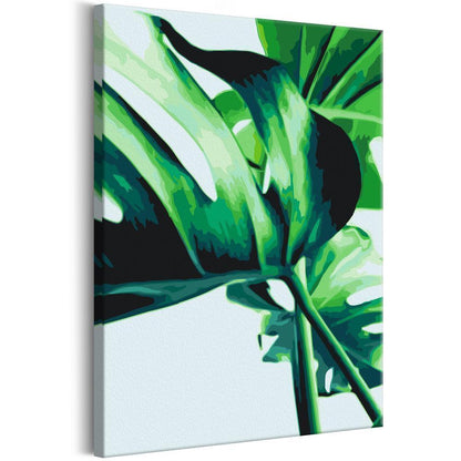 Start learning Painting - Paint By Numbers Kit - Monstera Adansonii - new hobby