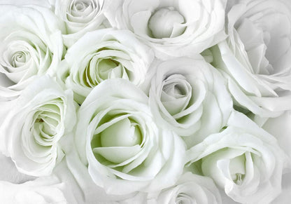 Wall Mural - Satin Rose (Green)-Wall Murals-ArtfulPrivacy