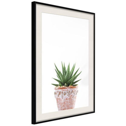 Botanical Wall Art - Piece of Nature III-artwork for wall with acrylic glass protection