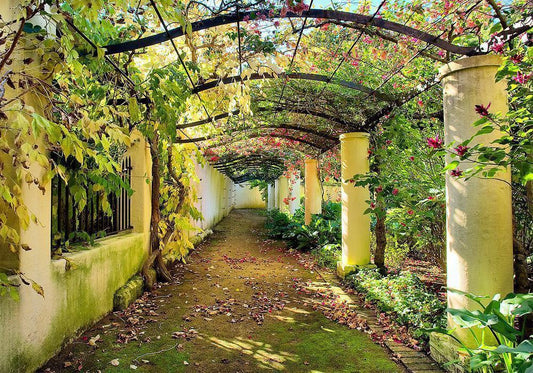 Wall Mural - Pergola-Wall Murals-ArtfulPrivacy