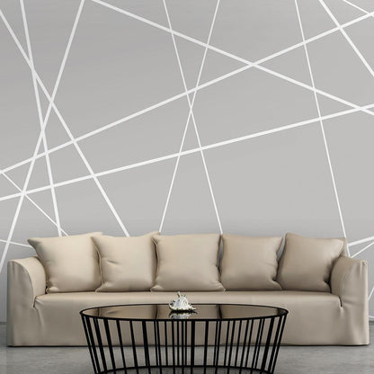 Wall Mural - Modern Cobweb-Wall Murals-ArtfulPrivacy