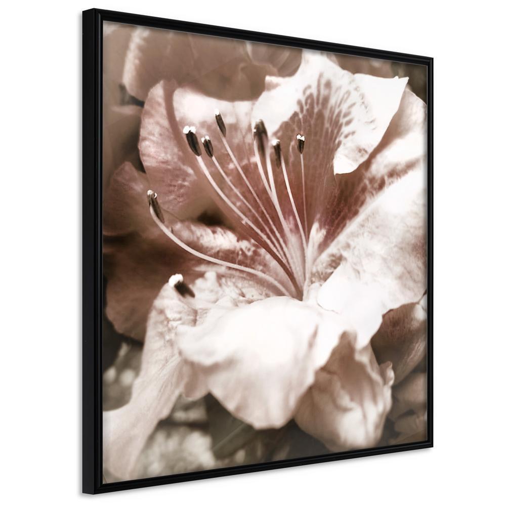 Botanical Wall Art - Blissful Rest-artwork for wall with acrylic glass protection