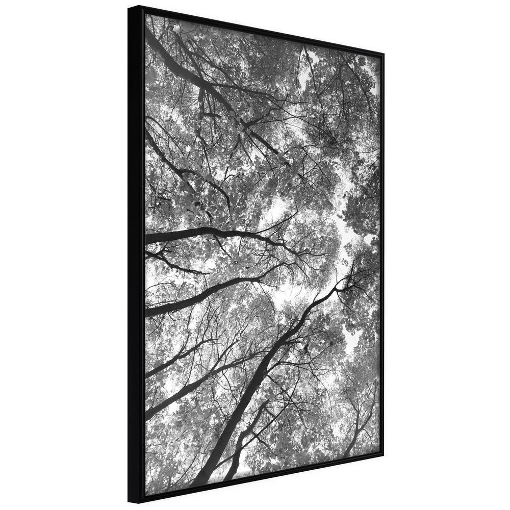 Botanical Wall Art - Lying on the Grass-artwork for wall with acrylic glass protection