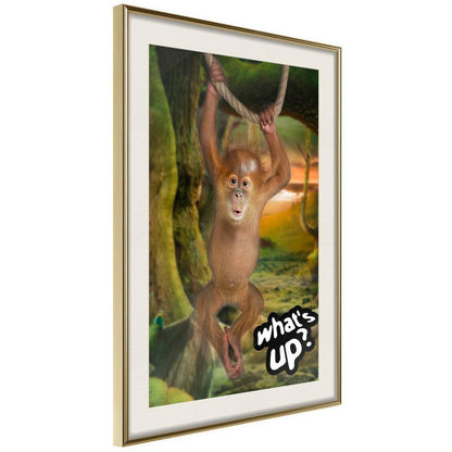 Frame Wall Art - Life in the Jungle-artwork for wall with acrylic glass protection