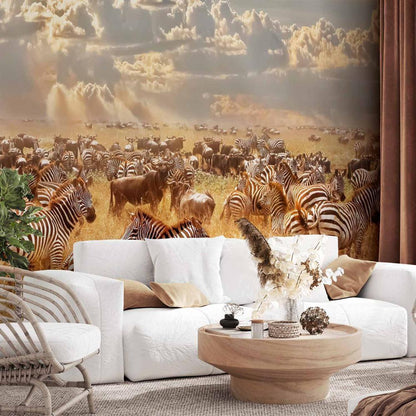 Wall Mural - Zebra Land