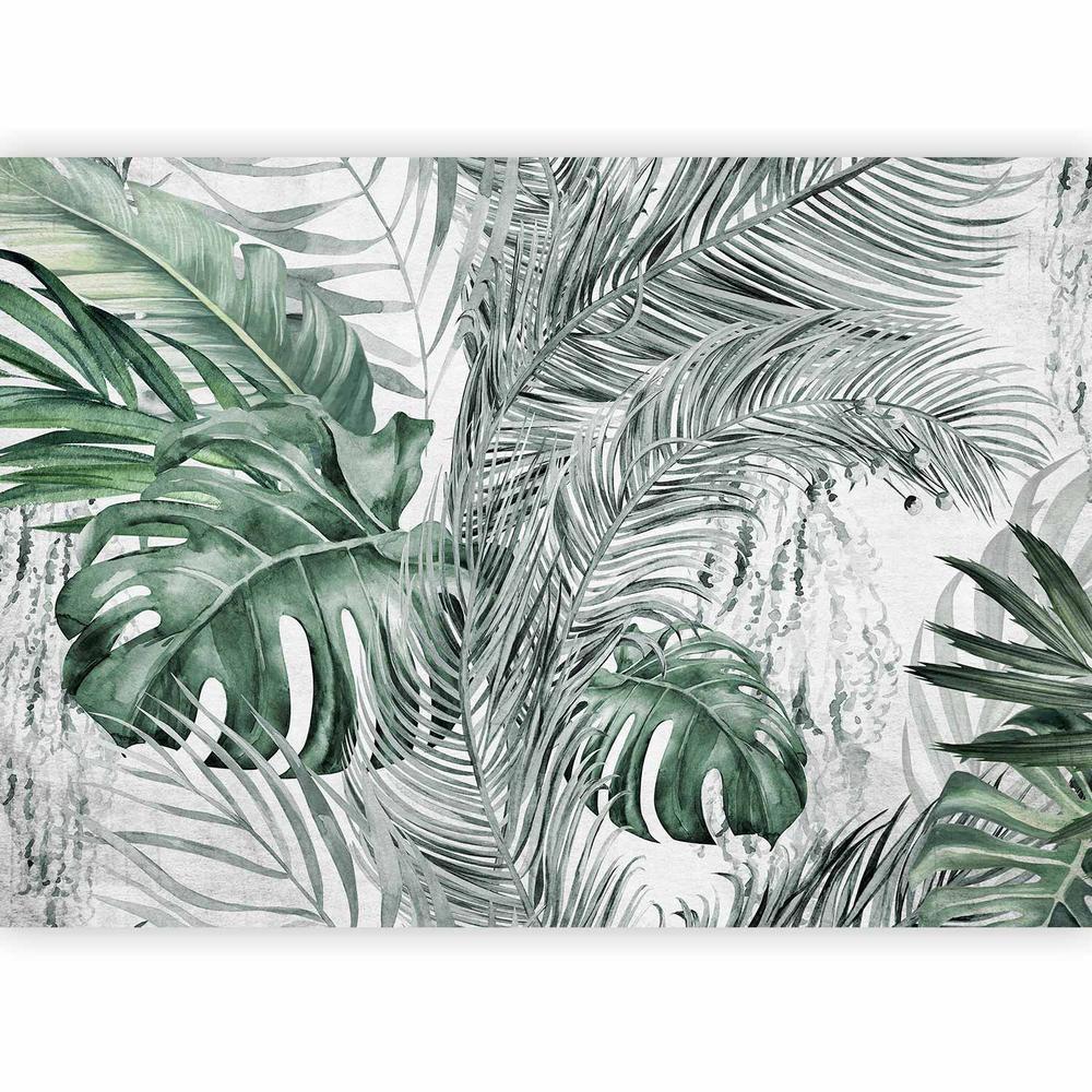 Wall Mural - Dense Jungle