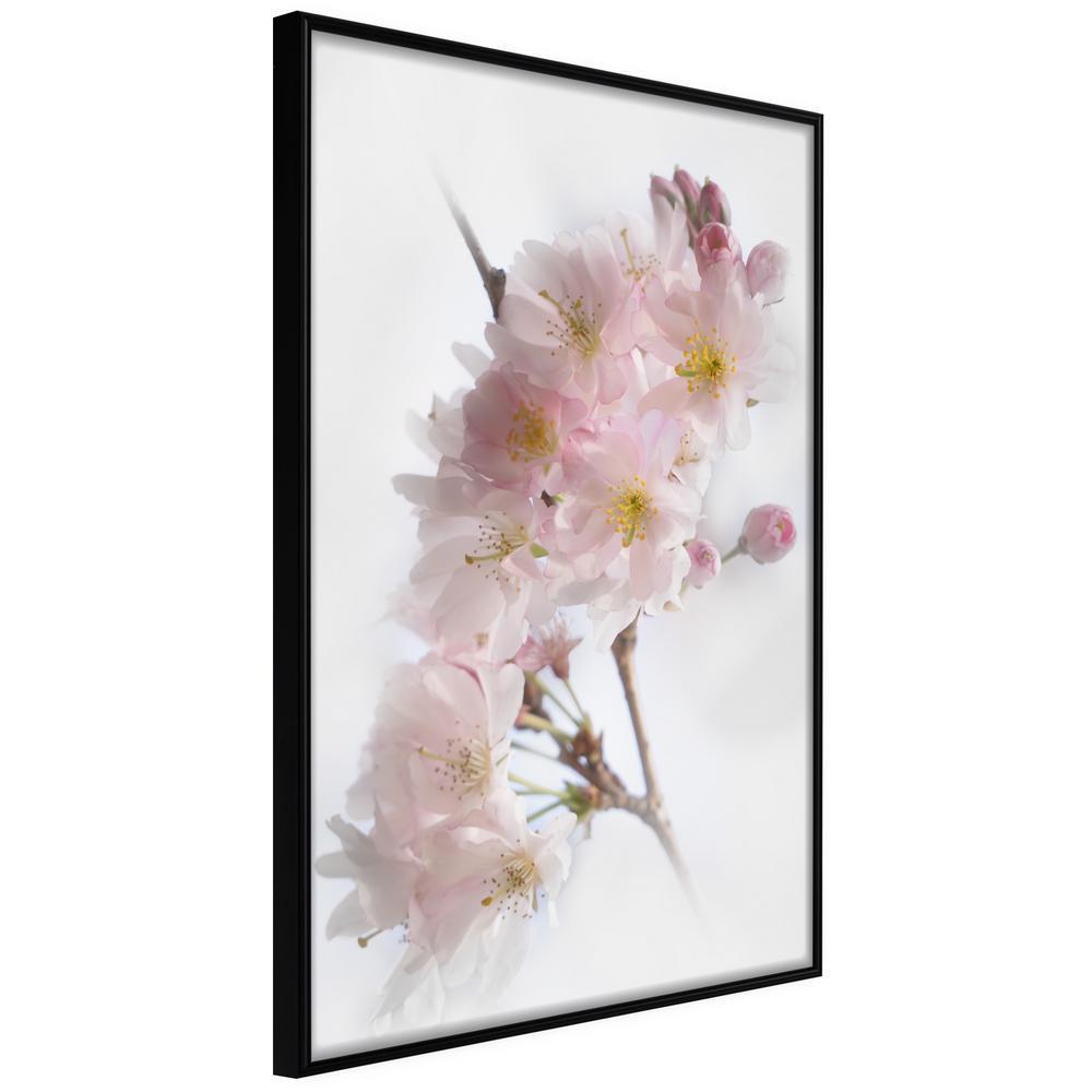 Botanical Wall Art - Scent of Spring-artwork for wall with acrylic glass protection