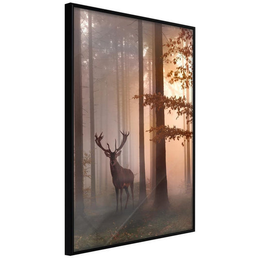 Autumn Framed Poster - Forest Seclusion-artwork for wall with acrylic glass protection