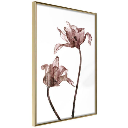 Botanical Wall Art - Flashback of Last Summer-artwork for wall with acrylic glass protection