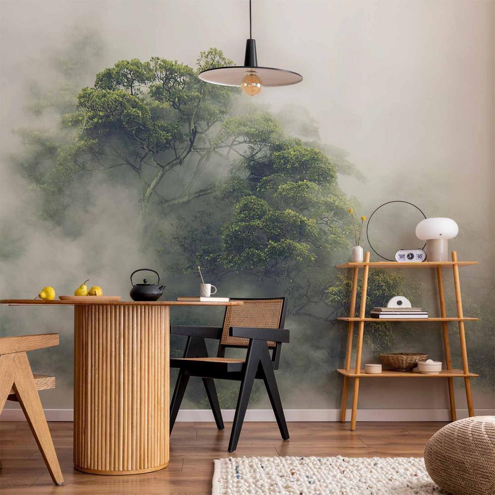 Wall Mural - Foggy Amazon