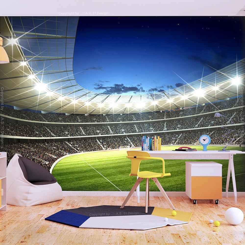 Wall Mural - National stadium-Wall Murals-ArtfulPrivacy