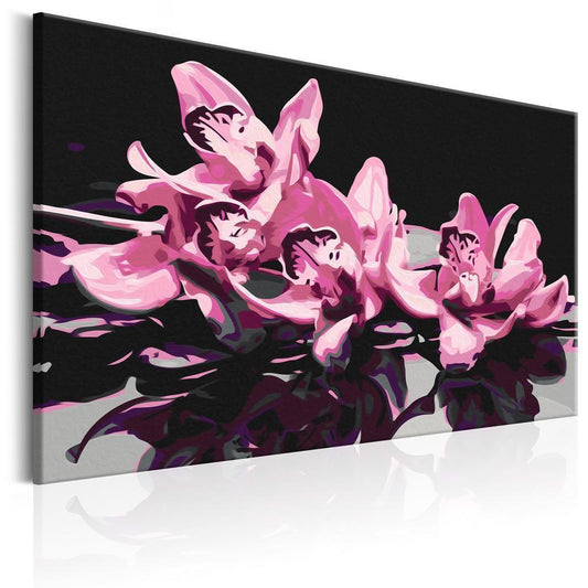 Start learning Painting - Paint By Numbers Kit - Pink Orchid (Black Background) - new hobby