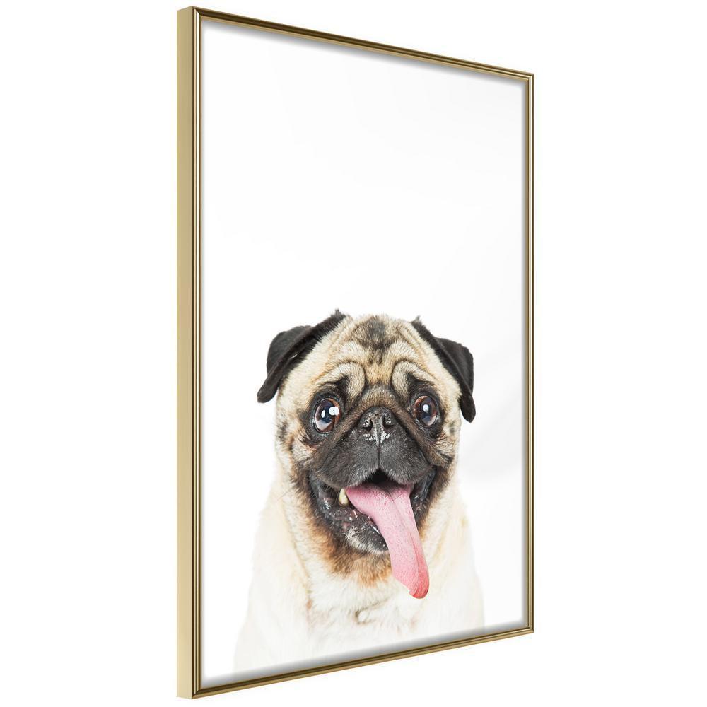 Nursery Room Wall Frame - Funny Pug-artwork for wall with acrylic glass protection