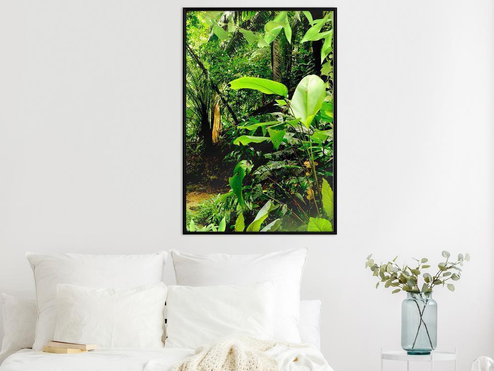 Framed Art - In the Rainforest-artwork for wall with acrylic glass protection