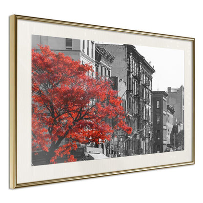 Autumn Framed Poster - Autumn Colours II-artwork for wall with acrylic glass protection