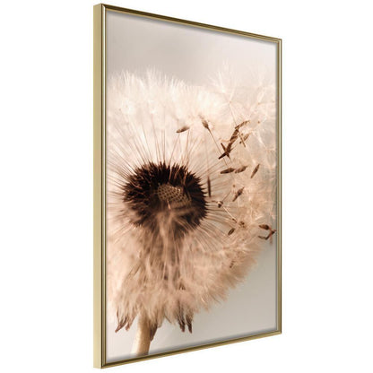 Autumn Framed Poster - Piece of the Summer-artwork for wall with acrylic glass protection