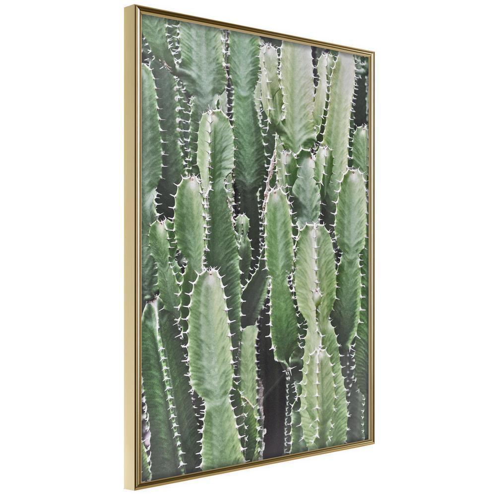 Botanical Wall Art - Cactus Plantation-artwork for wall with acrylic glass protection