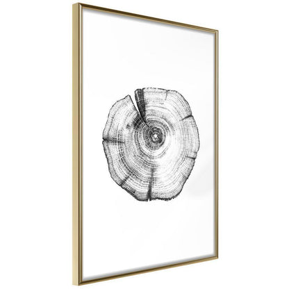 Botanical Wall Art - Tree Rings-artwork for wall with acrylic glass protection