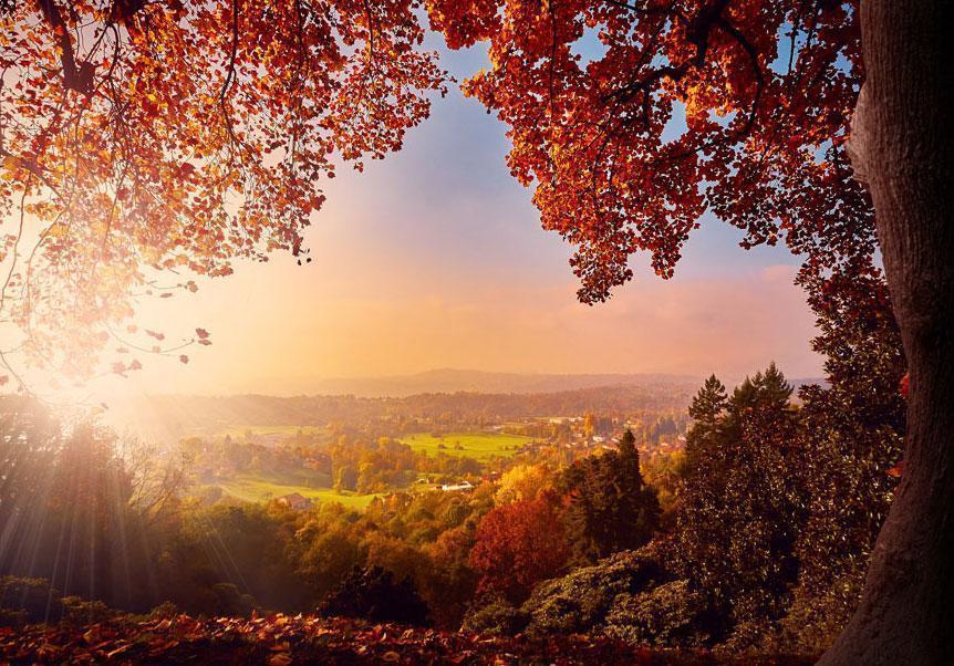 Wall Mural - Autumn delight - sunny landscape with countryside surrounded by trees and fields-Wall Murals-ArtfulPrivacy