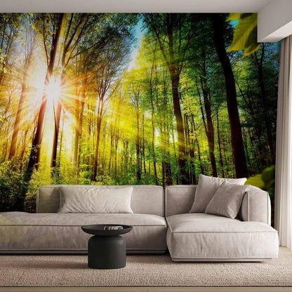 Wall Mural - Forest Hideout