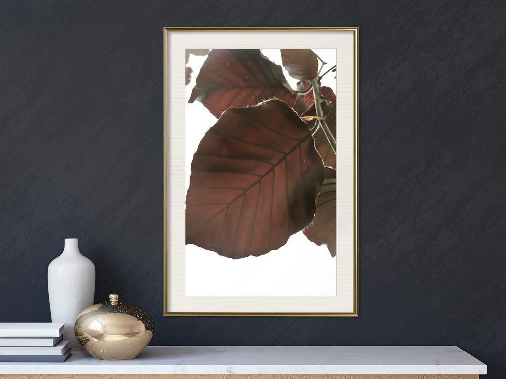 Autumn Framed Poster - Burgundy Tilia Leaf-artwork for wall with acrylic glass protection