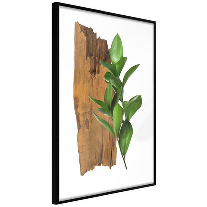 Botanical Wall Art - Forest Bouquet-artwork for wall with acrylic glass protection