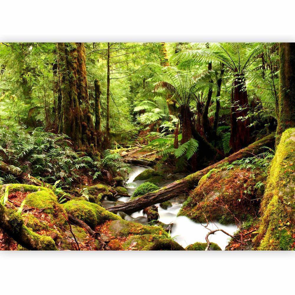 Wall Mural - Forest Brook