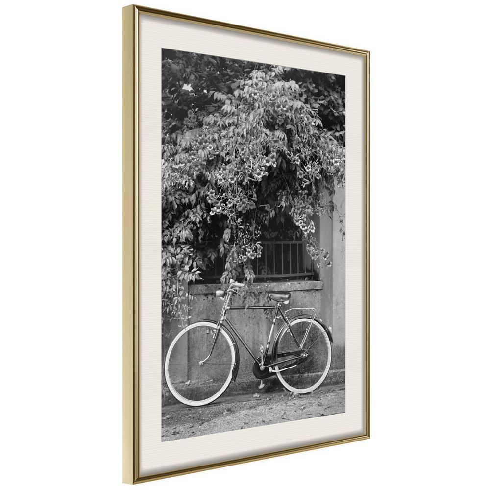 Black and White Framed Poster - Bicycle with White Tires-artwork for wall with acrylic glass protection