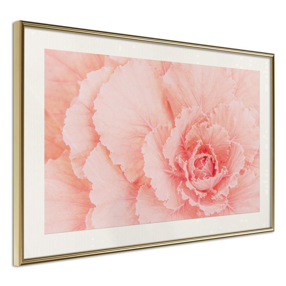 Botanical Wall Art - Delicate Petals-artwork for wall with acrylic glass protection