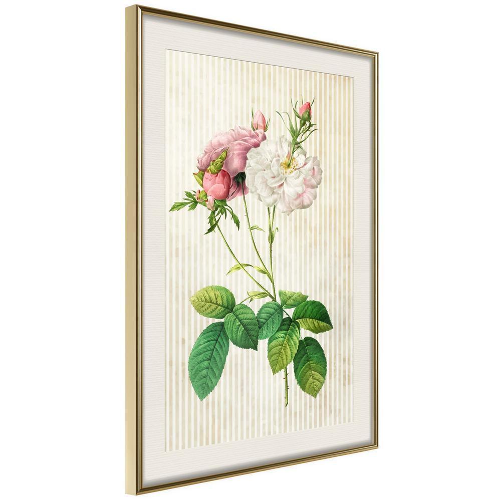 Botanical Wall Art - Romance I-artwork for wall with acrylic glass protection