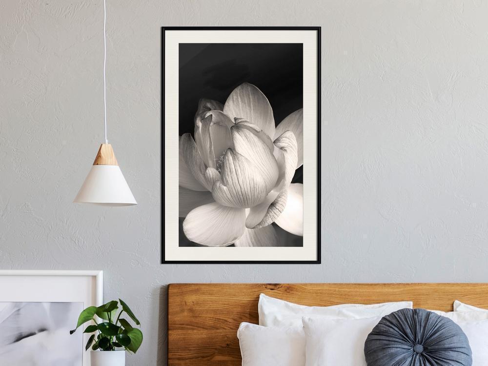 Botanical Wall Art - Delicacy of a Flower-artwork for wall with acrylic glass protection