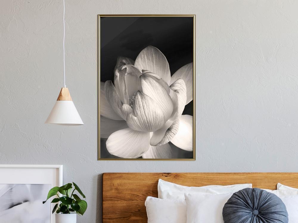 Botanical Wall Art - Delicacy of a Flower-artwork for wall with acrylic glass protection