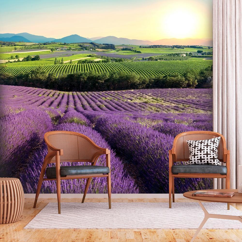 Wall Mural - Lavender Field-Wall Murals-ArtfulPrivacy