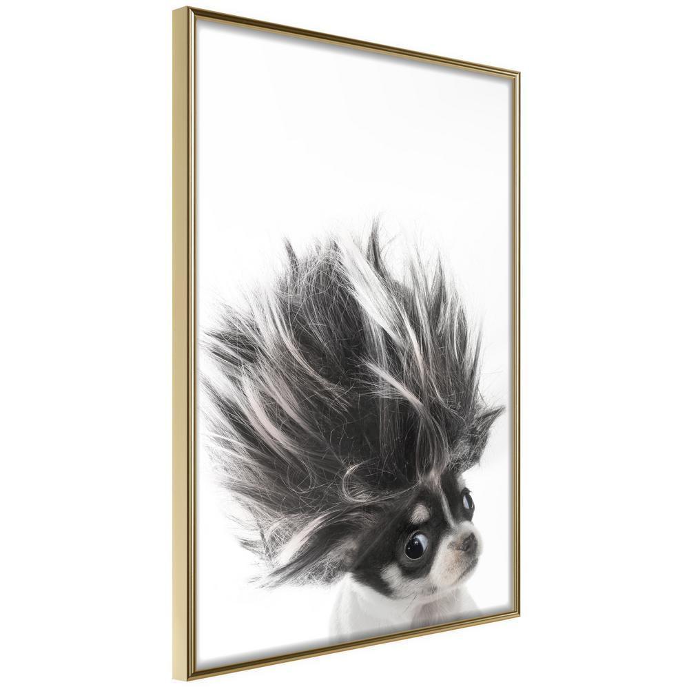 Nursery Room Wall Frame - Funny Chihuahua-artwork for wall with acrylic glass protection