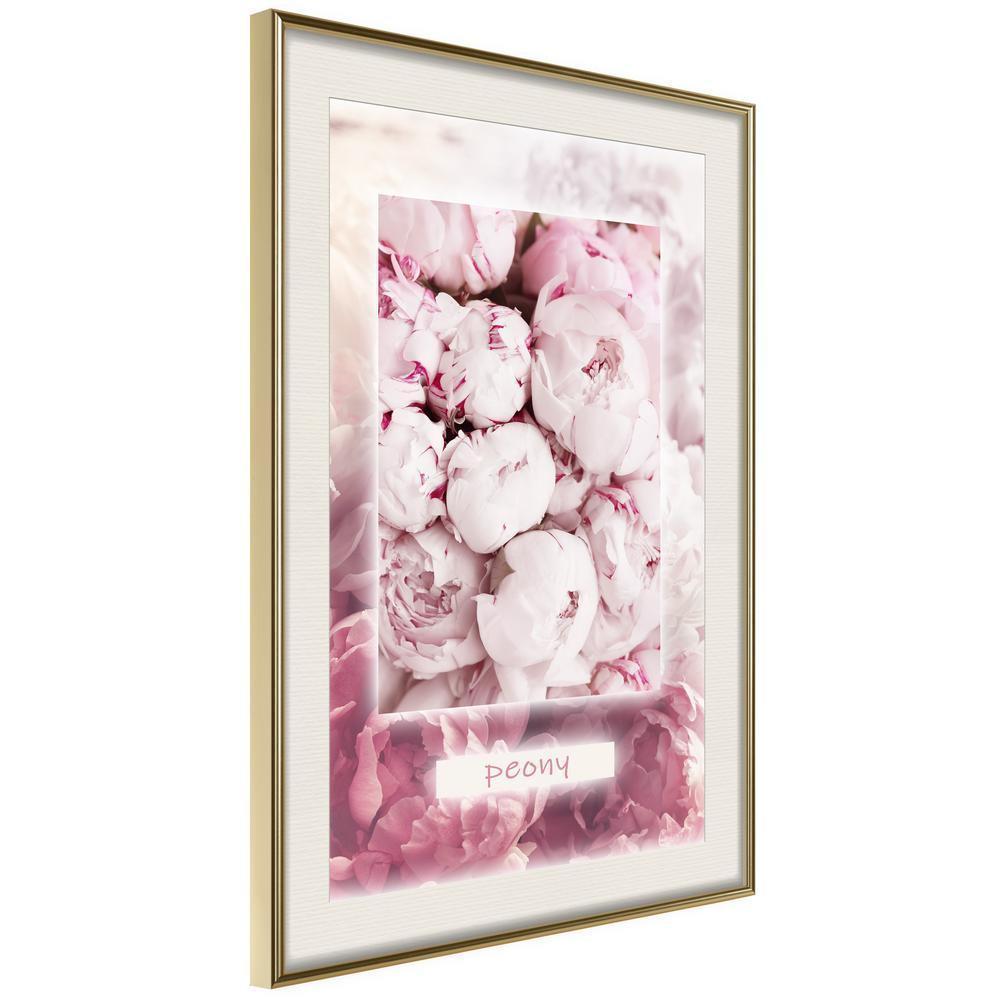 Botanical Wall Art - Scent of Peonies-artwork for wall with acrylic glass protection