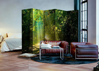 Decorative partition-Room Divider - Road in Sunlight II-Folding Screen Wall Panel by ArtfulPrivacy