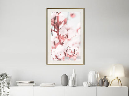 Botanical Wall Art - Cotton Flowers-artwork for wall with acrylic glass protection