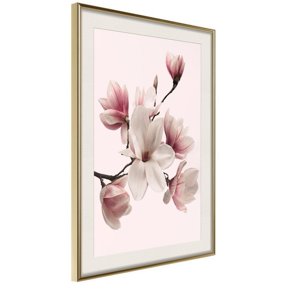 Botanical Wall Art - Blooming Magnolias I-artwork for wall with acrylic glass protection