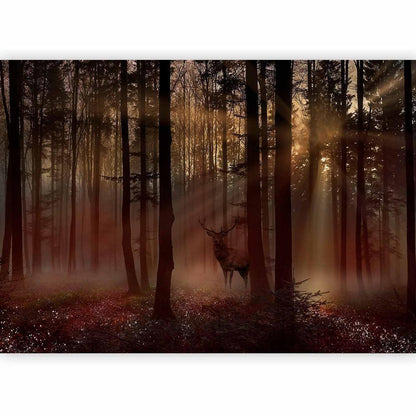 Wall Mural - Mystical Forest - First Variant