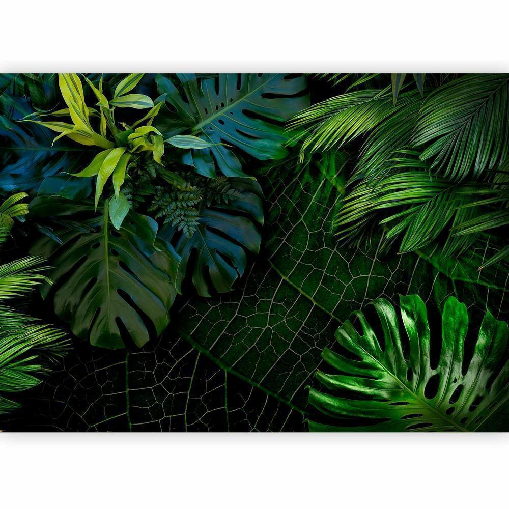 Wall Mural - Dark Jungle