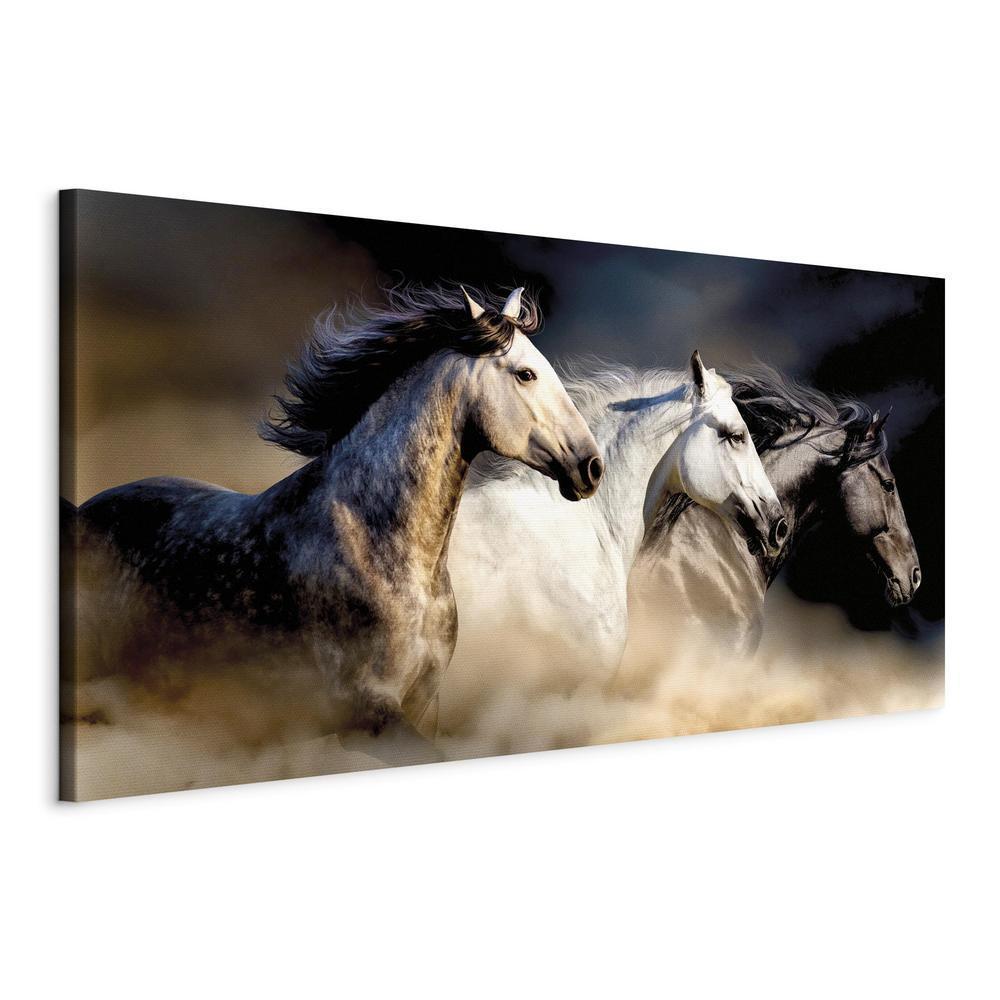 Canvas Print - Sons of the Wind (1 Part) Wide-ArtfulPrivacy-Wall Art Collection