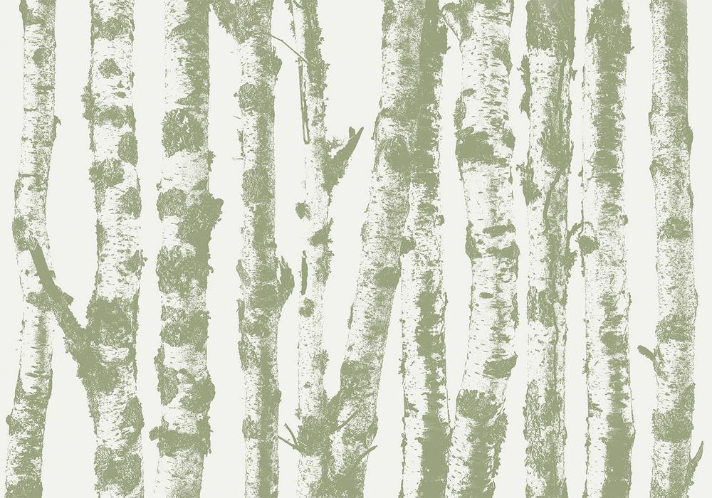 Wall Mural - Stately Birches - Third Variant-Wall Murals-ArtfulPrivacy