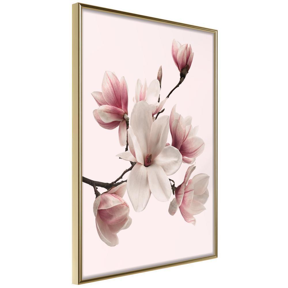 Botanical Wall Art - Blooming Magnolias I-artwork for wall with acrylic glass protection