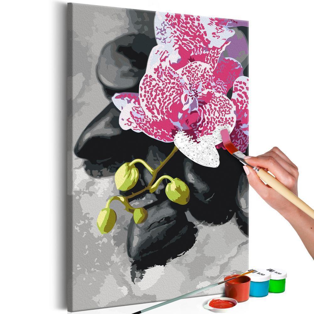 Start learning Painting - Paint By Numbers Kit - Pink Orchid - new hobby