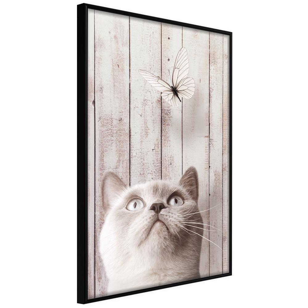 Frame Wall Art - Piercing Look-artwork for wall with acrylic glass protection