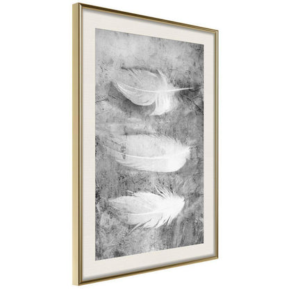 Black and White Framed Poster - Delicate Feathers-artwork for wall with acrylic glass protection