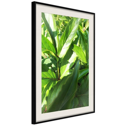 Botanical Wall Art - Somewhere in the Garden-artwork for wall with acrylic glass protection