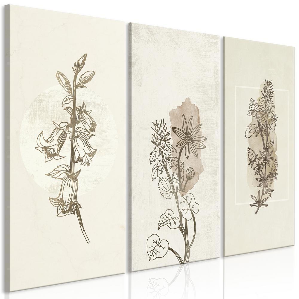 Canvas Print - Herbarium (3 Parts)-ArtfulPrivacy-Wall Art Collection