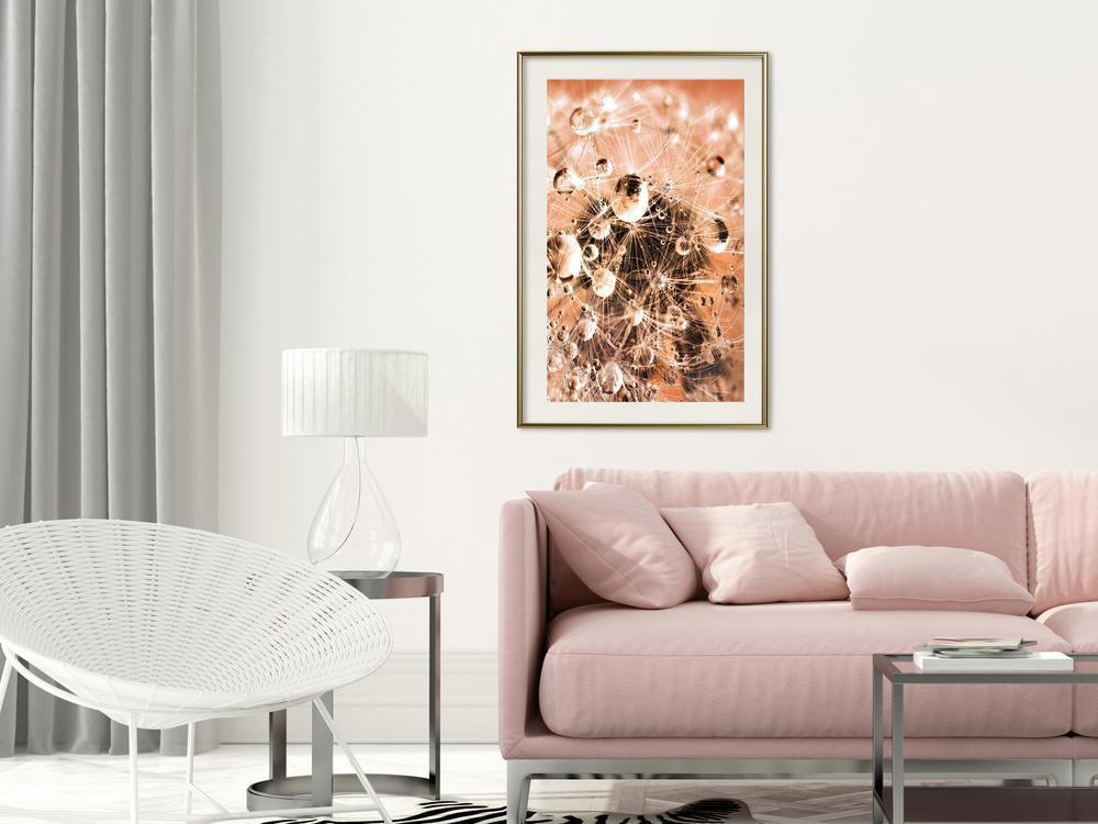 Autumn Framed Poster - Drops on Dandelion-artwork for wall with acrylic glass protection